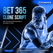 Innovative Bet365 Clone Software for Serious Gaming Investors